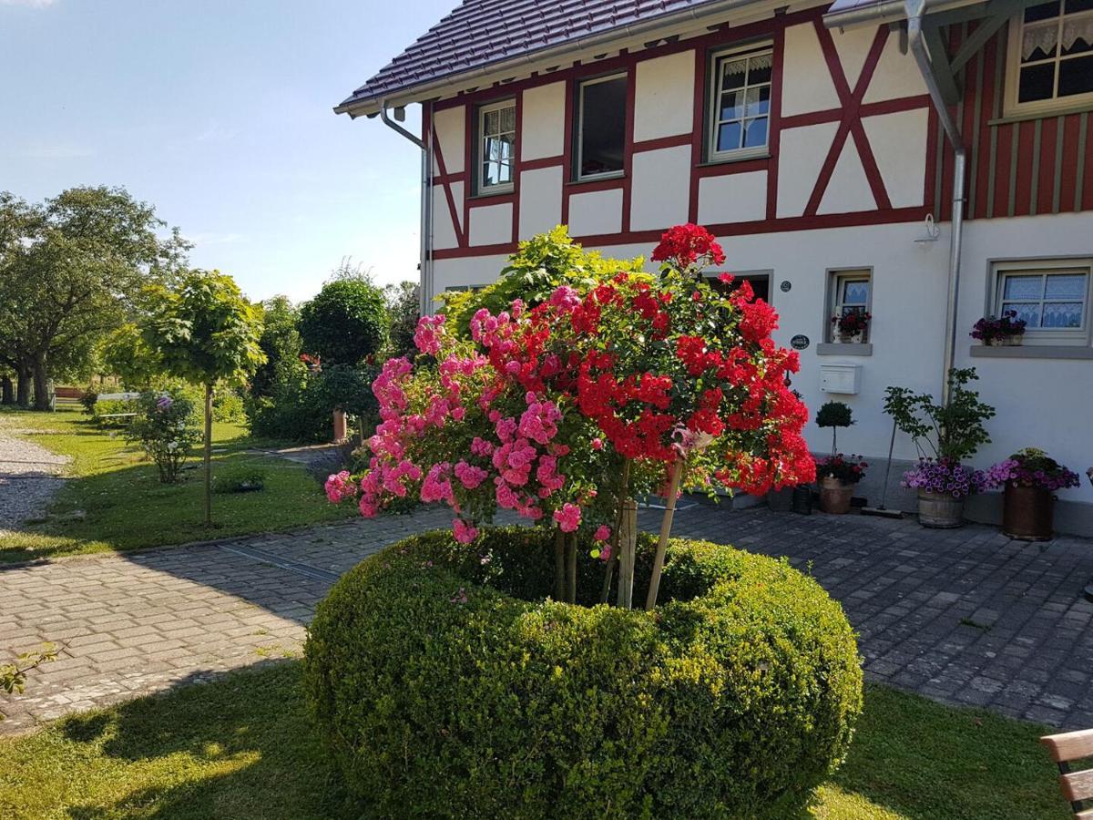 Hotel Landgut Apfelrose FDH Zewnętrze zdjęcie