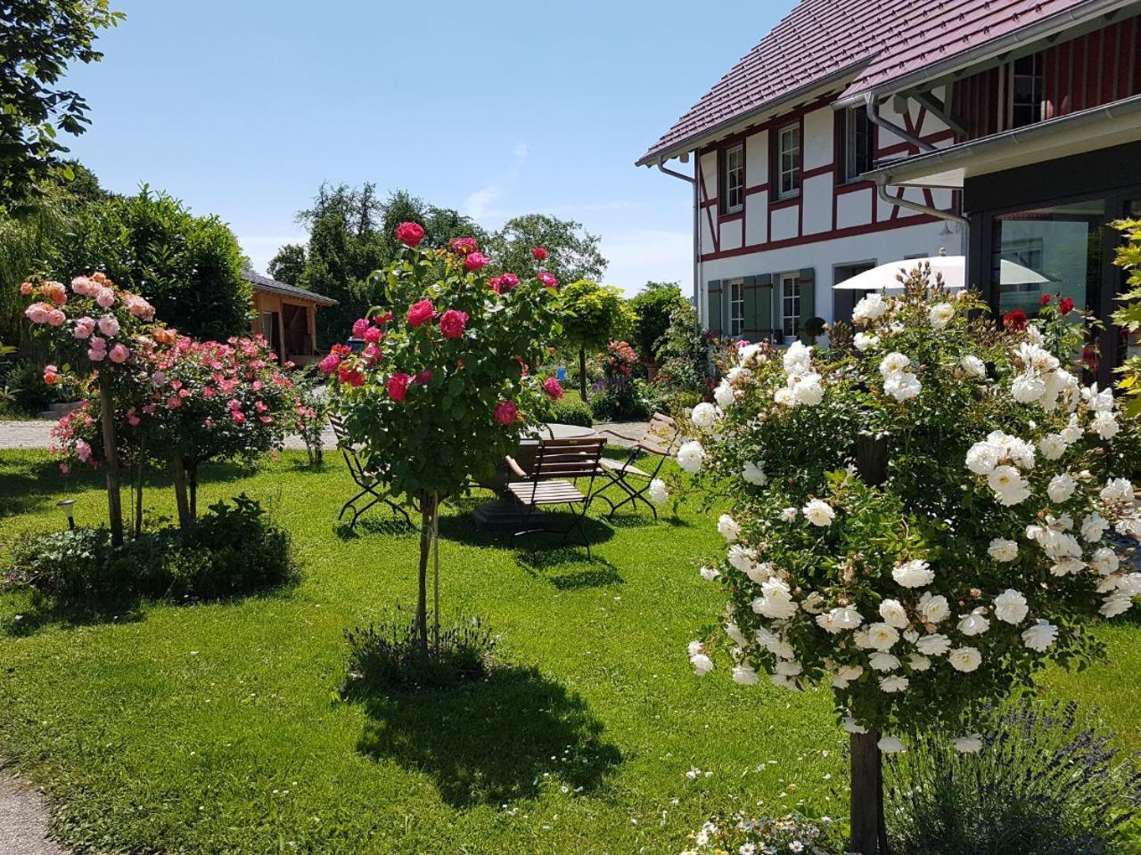 Hotel Landgut Apfelrose FDH Zewnętrze zdjęcie